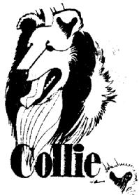 Imagen de COLLIE