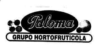 Imagen de PALOMA GRUPO HORTOFRUTICOLA