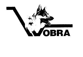 Imagen de VOBRA