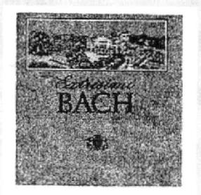Imagen de EXTRISIMO BACH