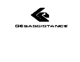 Imagen de GESASSISTANCE