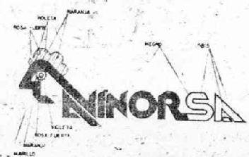 Imagen de AVI NORSA