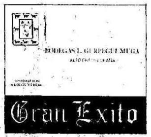 Imagen de GRAN EXITO