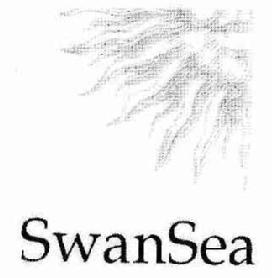Imagen de SWANSEA
