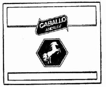 Imagen de CABALLO ANDALUZ
