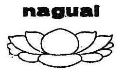Imagen de NAGUAL