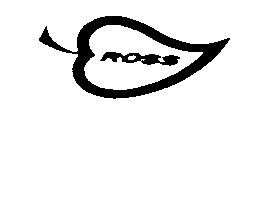 Imagen de ROSS