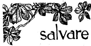 Imagen de SALVARE
