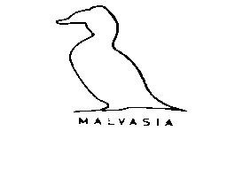 Imagen de MALVASIA