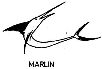 Imagen de MARLIN