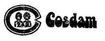 Imagen de COSDAM