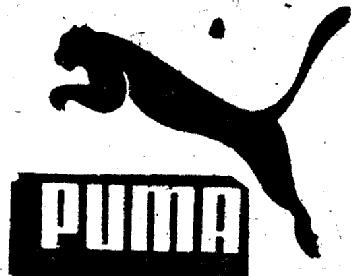 Imagen de PUMA