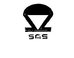 Imagen de SAS