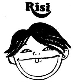Imagen de RISI