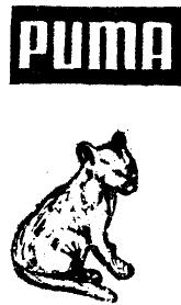 Imagen de PUMA