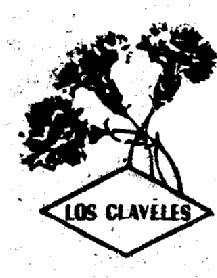 Imagen de LOS CLAVELES