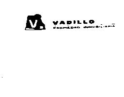Imagen de VADILLO PROPIEDAD INMOBILIARIA