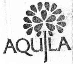 Imagen de AQUILA
