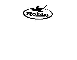 Imagen de ROBIN