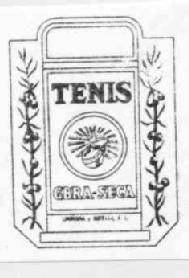 Imagen de TENIS GBRA SECA