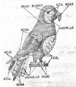 Imagen de M0937268