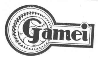 Imagen de GAMEI