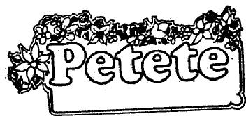 Imagen de PETETE