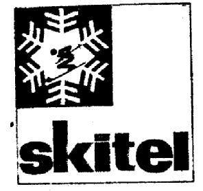 Imagen de SKITEL
