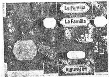Imagen de LA FAMILIA