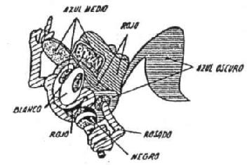 Imagen de BOMAN