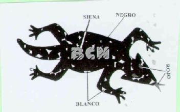 Imagen de BCN