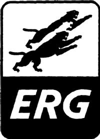 Imagen de ERG, FIG Imagen de ERG, FIG