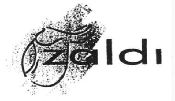 Imagen de ZALDI