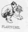 Imagen de PLANTVIBEL