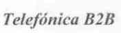Imagen de TELEFONICA B2B