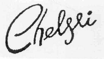 Imagen de CHELSEI