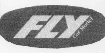 Imagen de FLY CAR MODEL