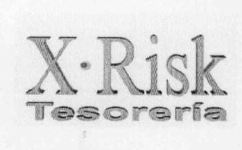 Imagen de X.RISK TESORERIA