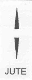 Imagen de JUTE