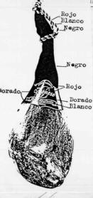 Imagen de DONOSO DON EPIFANIO