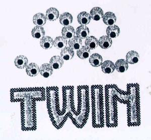 Imagen de TWIN