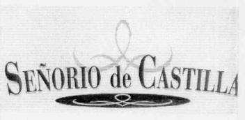 Imagen de SEÑORIO DE CASTILLA