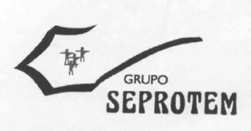 Imagen de GRUPO SEPROTEM