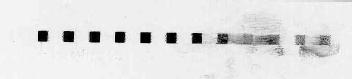 Imagen de M2292145