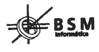Imagen de BSM INFORMATICA