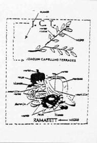 Imagen de RAMATETT J.C.T. JOAQUIN CAPELLINO TERRADES