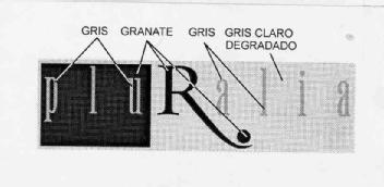 Imagen de PLURALIA