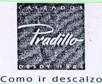 Imagen de CALZADOS PRADILLO DESDE 1886 COMO IR DESCALZO