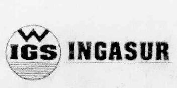 Imagen de IGS INGASUR