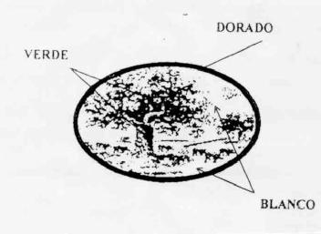 Imagen de M2294727